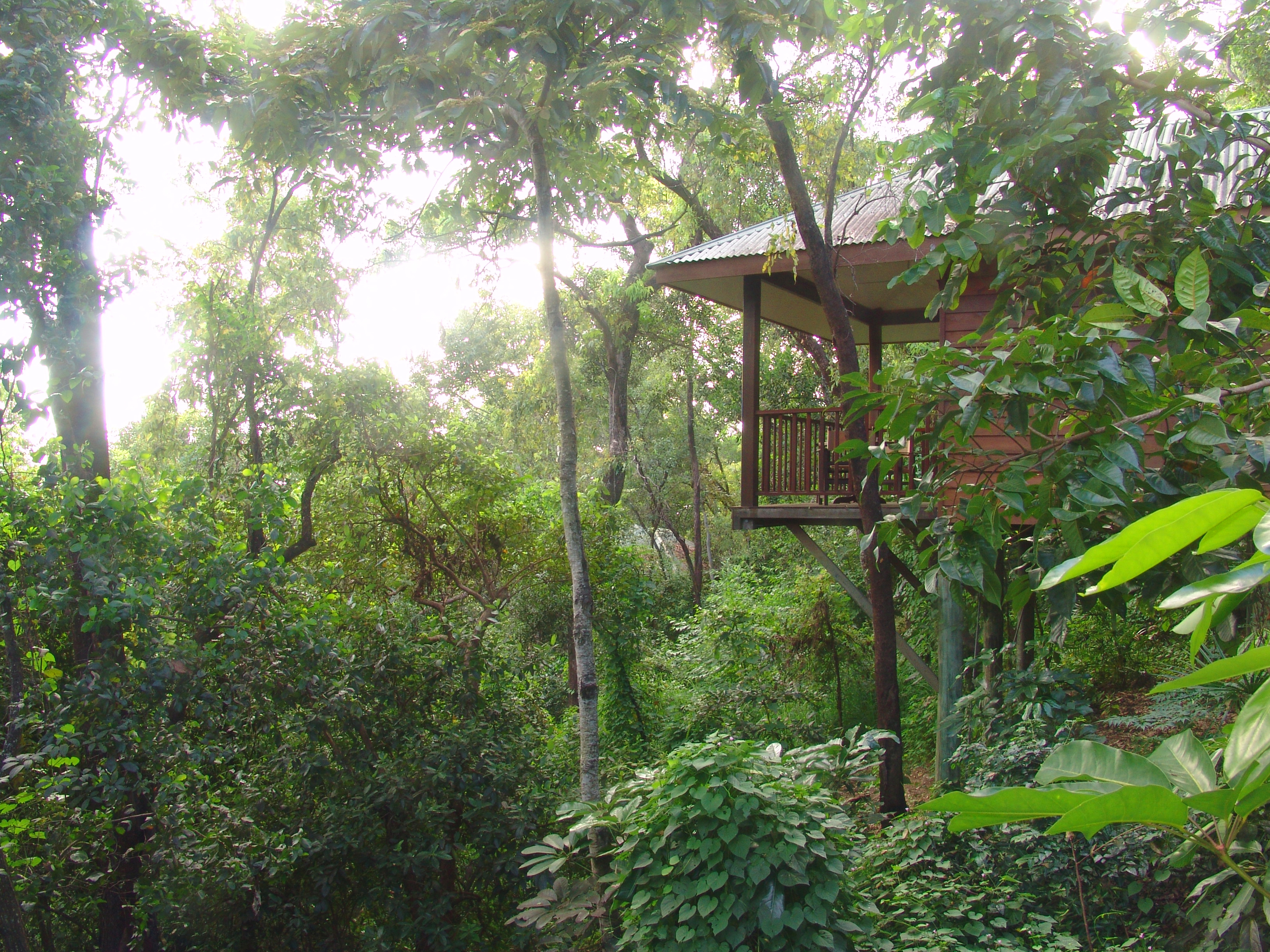 BUNGALOW OTEL